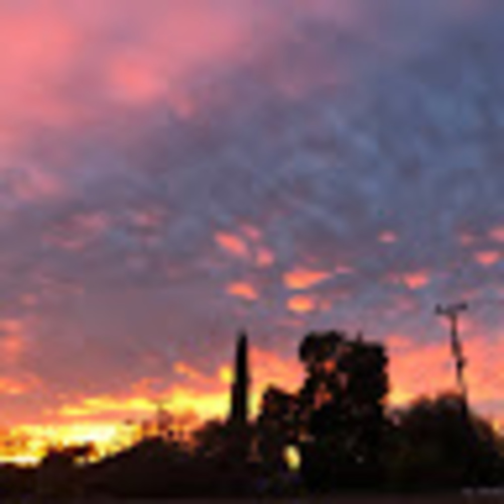 Meet your Posher, Baylie